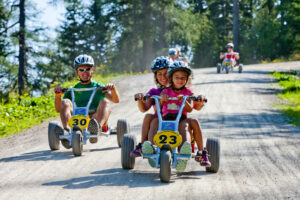 Mountain Gokart