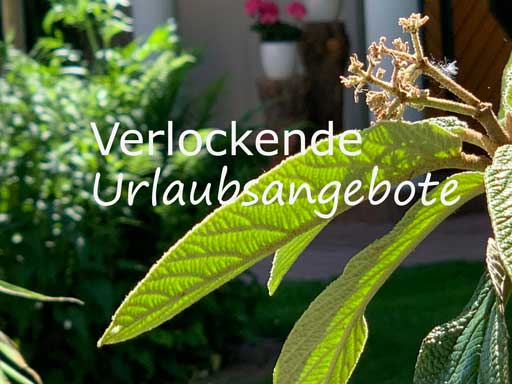 Verlockende Urlaubsangebote