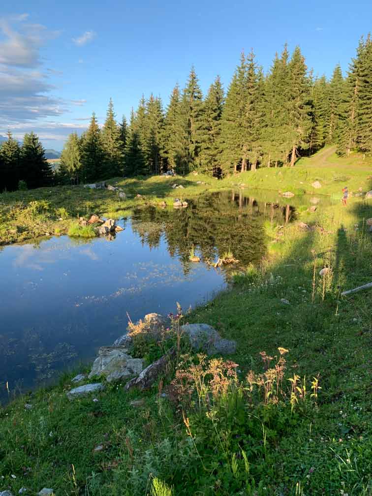 Teich Königslehen